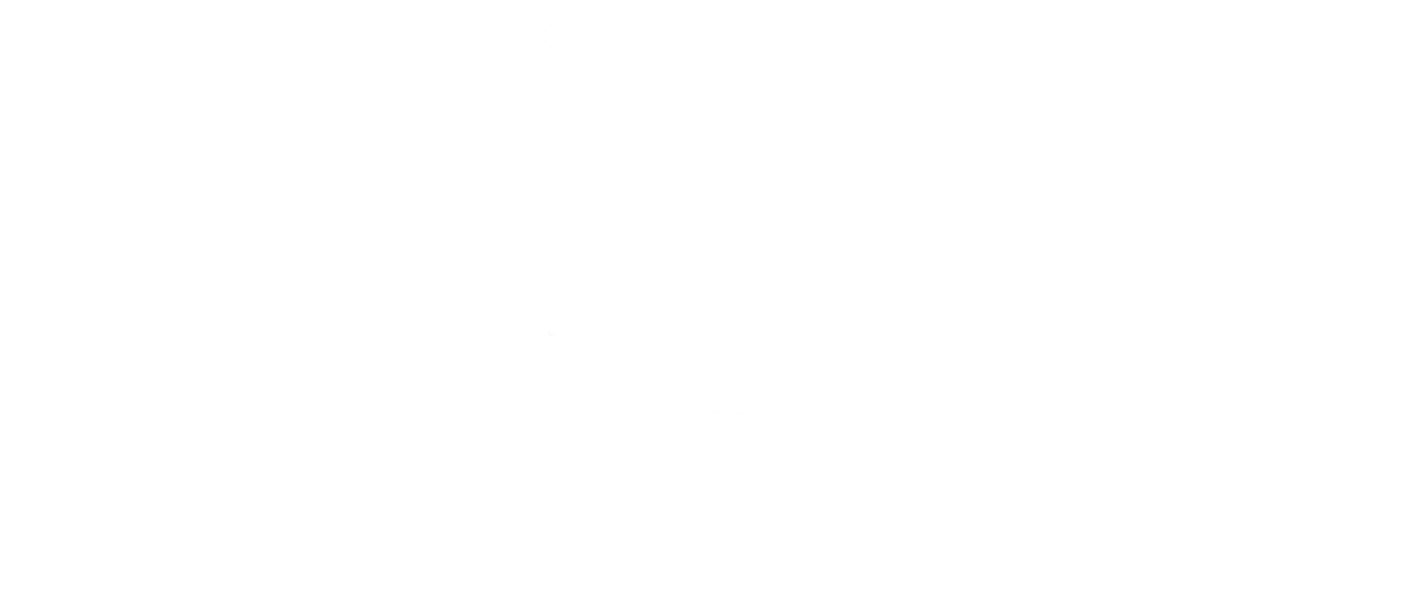 Connect Market Solutions