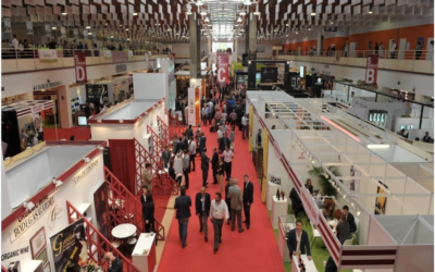 A FENAVIN é a mais importante feira de vinhos de Espanha | A Connect Market Solutions organizou e apoiou a comitiva portuguesa.
